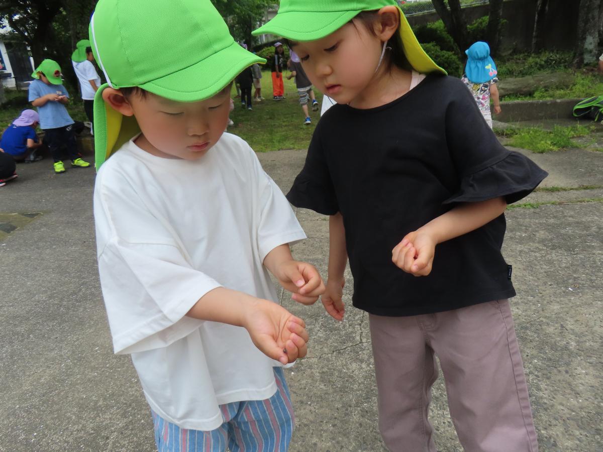あぜかりこども園
