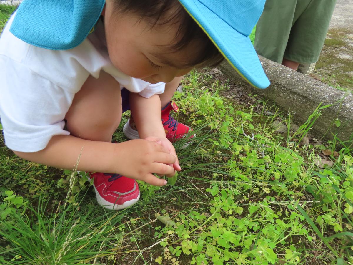 あぜかりこども園