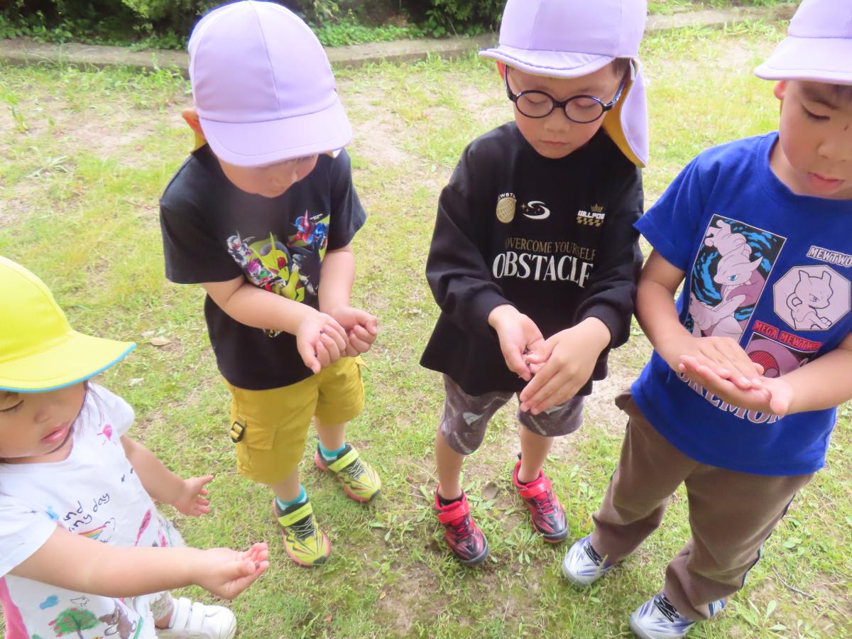 あぜかりこども園