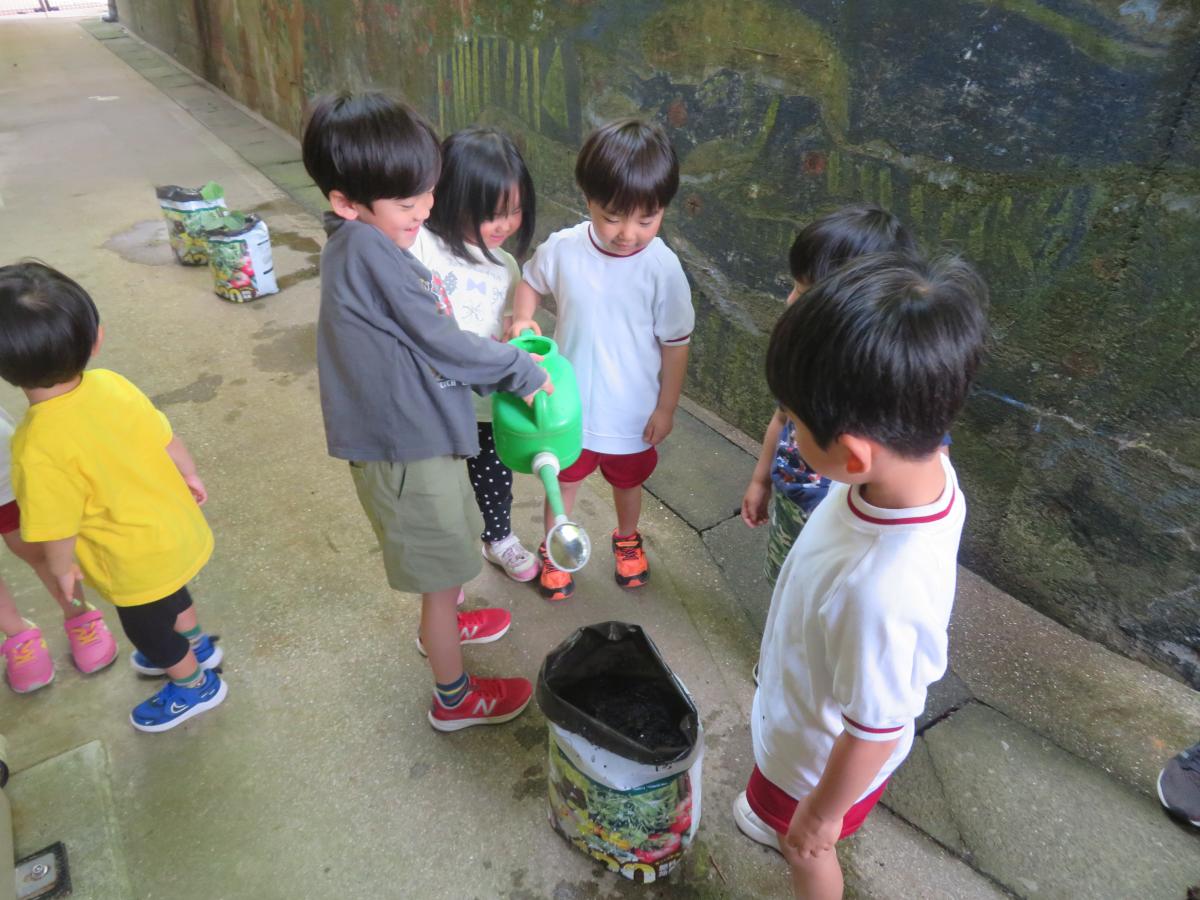 あぜかりこども園