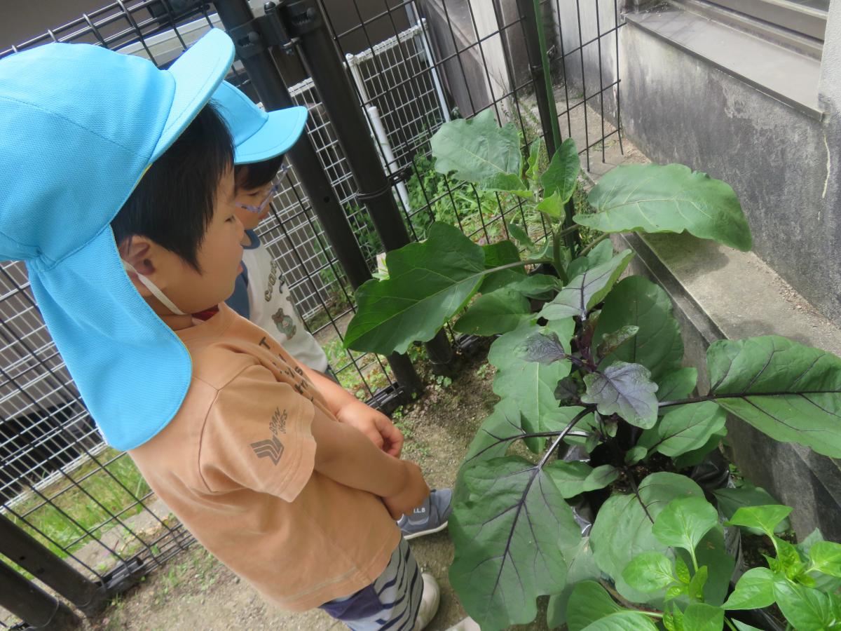 あぜかりこども園