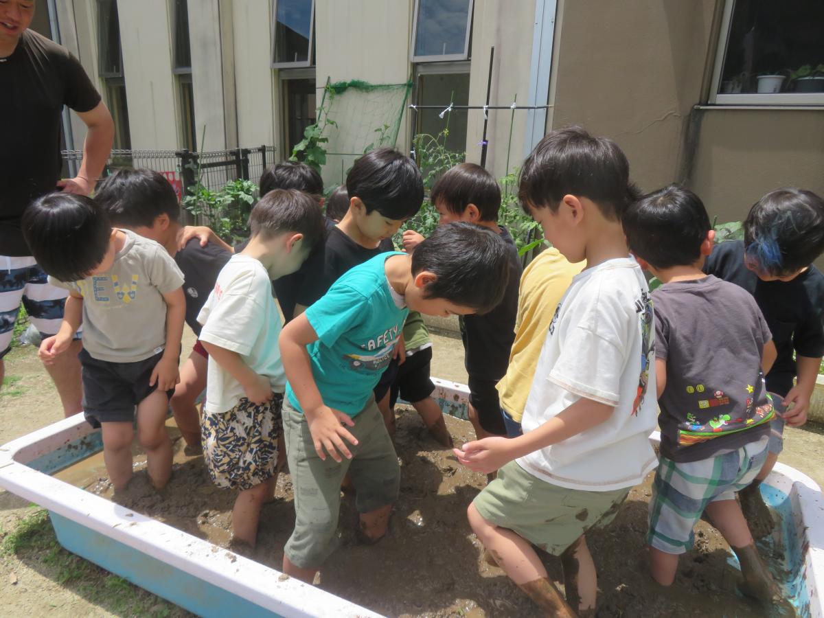 あぜかりこども園