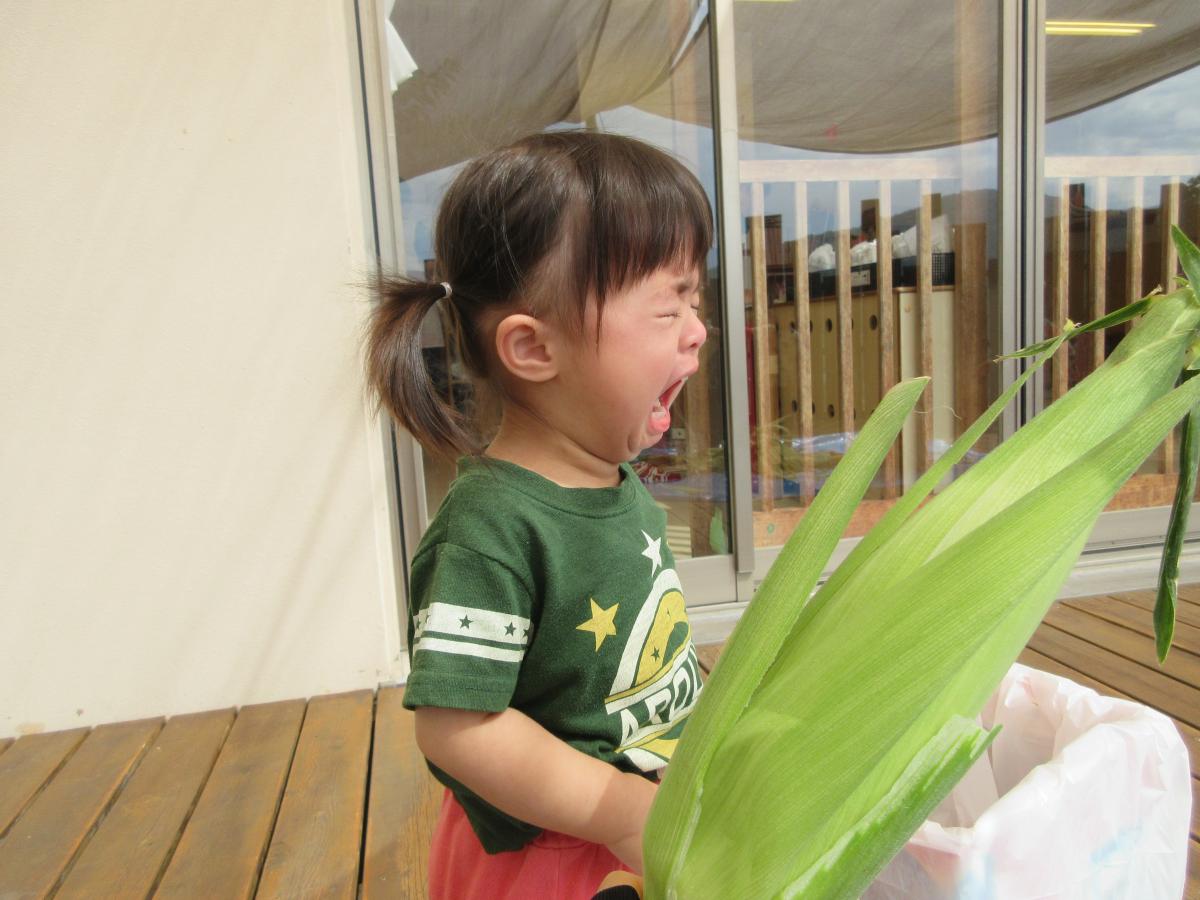 あぜかりこども園