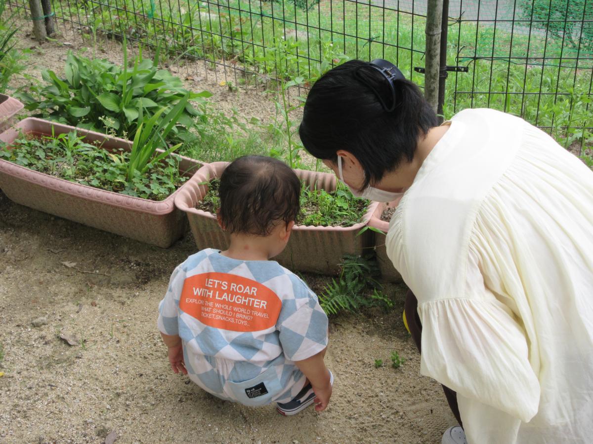 あぜかりこども園