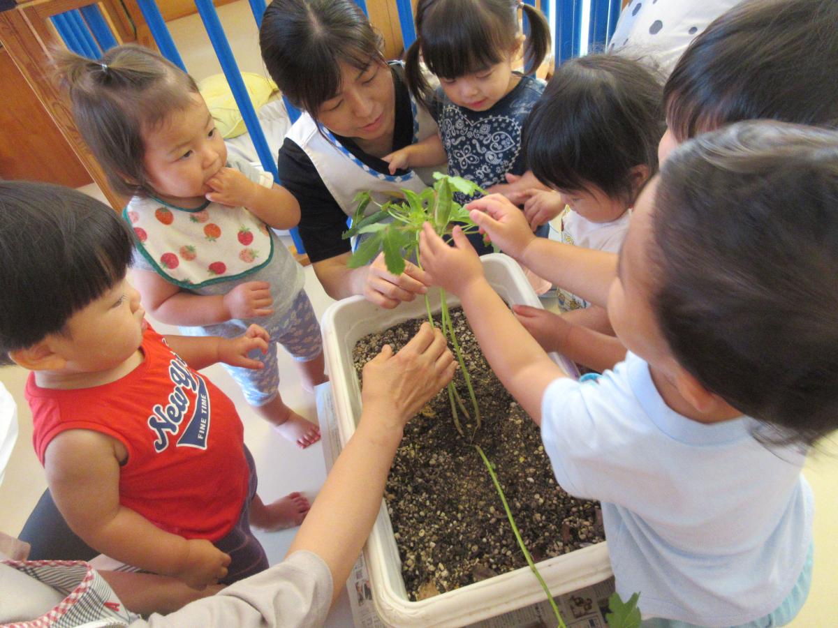 あぜかりこども園